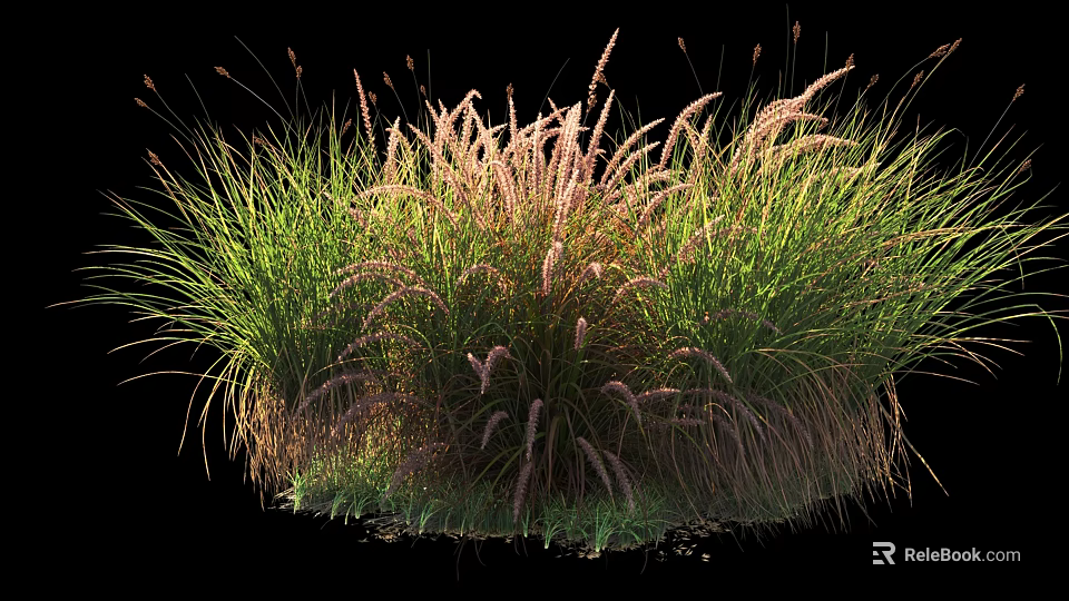 Lush Green Shrub with Pink Feathery Plumes in Natural Outdoor Landscape 3d model 