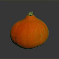 Vibrant Fresh Orange Pumpkin With Round Shape Smooth Texture On Dark Background