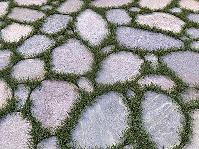 Natural Stone Paved Ground With Irregular Shapes And Green Grass In Gaps 3d model