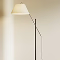 Modern Minimalist Floor Lamp With Light Colored Shade And Black Metal Stand