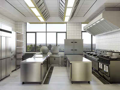 Commercial Kitchen Design With Stainless Steel Worktables Stoves Refrigerators Large Windows And Good Lighting 3d model