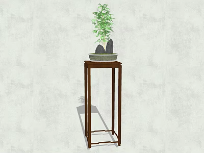Decorative Bonsai Plant in Ceramic Pot on Wooden Stand Against Light Wall 3d model
