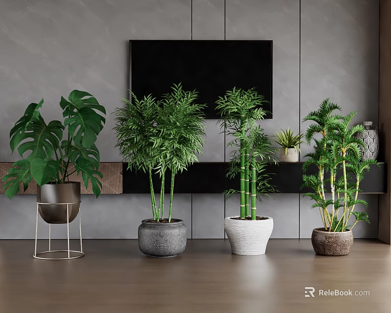 Indoor Potted Green Plants in Modern Living Room with TV Stand and Different Planters 3d model 