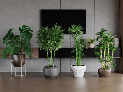 Indoor Potted Green Plants in Modern Living Room with TV Stand and Different Planters 3d model