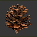 Orange Pine Cone With Detailed Structure And Shiny Texture On Dark Background 3d model
