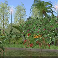 Scenic Tropical Park Landscape With Lush Green Plants Vibrant Blooming Flowers And Clear Blue Sky