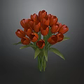 Vibrant Red Tulip Bouquet with Fresh Green Leaves and Natural Stem