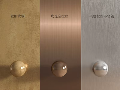 Elegant Wall Panels Featuring Antique Brass Rose Gold Brushed Silver Brushed Stainless Steel Round Knobs 3d model