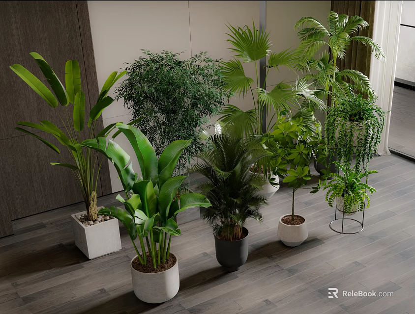 Various Indoor Potted Plants With Lush Leaves In Different Pots On Wooden Floor 3d model 