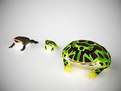 Three Modern Horned Frogs 3d model