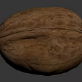 Fresh Whole Walnut With Natural Textured Shell On Dark Background