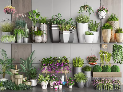 Indoor Bonsai and Potted Plants Display With Various Ceramic Pots and Hanging Greenery 3d model