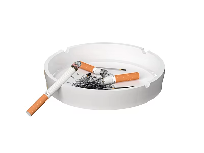 Round White Ashtray With Cigarette Butts And Ash On White Background 3d model