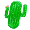 Colorful Inflatable Pineapple Cactus And Watermelon Shaped Toys For Kids