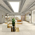 Modern Elegant Clothing Store Interior With Glass Display Windows Mannequins And Plants
