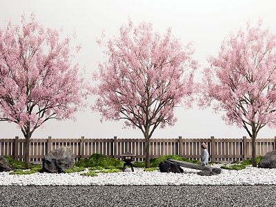 Japanese-style cherry tree peach blossom tree landscape tree courtyard landscape sketch stone fence 3d model