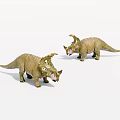 Two Green Triceratops Dinosaur Models Standing With Horns And Detailed Texture