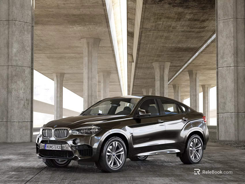 Dark Colored BMW Sporty SUV With Sleek Design Under Concrete Bridge Structure 3d model 