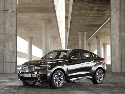 Dark Colored BMW Sporty SUV With Sleek Design Under Concrete Bridge Structure 3d model