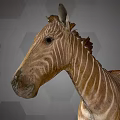 Detailed Zebra Head And Neck With Brown Stripes Against Gray Hexagonal Background