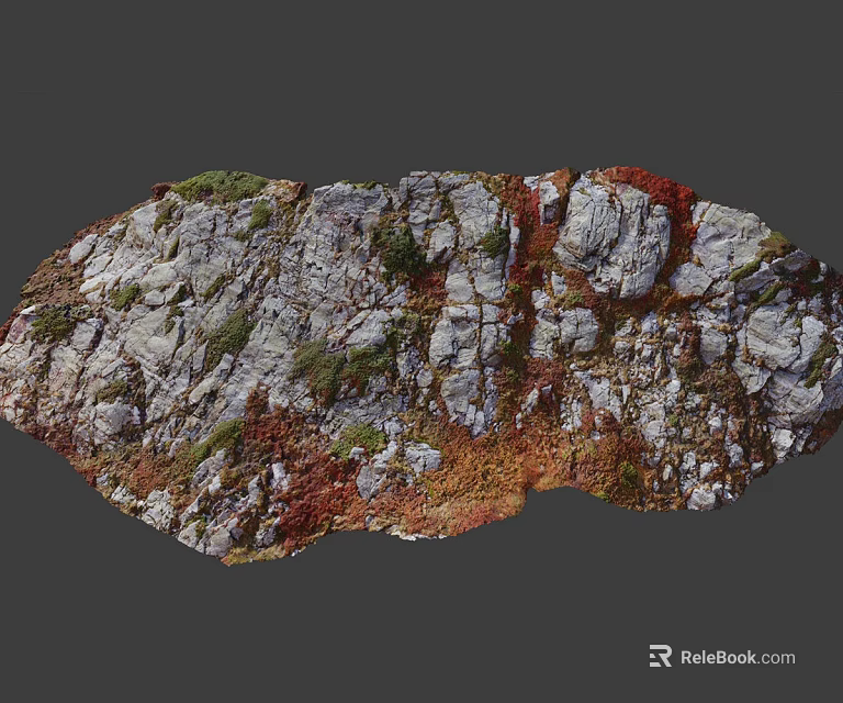 Gray Red Stone And Natural Wood Texture With Mossy Surface And Organic Details 3d model 