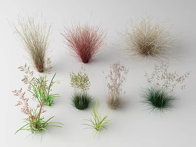 Colorful Decorative Grasses in Various Shapes Textures and Colors on White Background 3d model