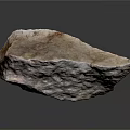 Petrified Stone With Natural Texture Rough Surface And Geological Specimen