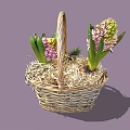 Wicker Basket With Hyacinth Flowers Red Berries And Straw For Home Decor