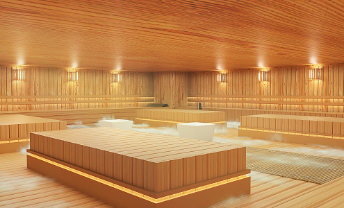 Modern Sauna Room 3d model