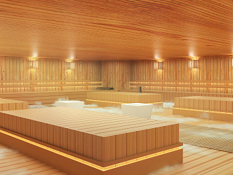 Modern Sauna Room 3d model