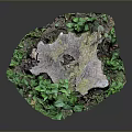 Natural Wooden Tree Stump with Green Vines and Stone Accents