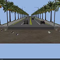 Urban Road Lined With Palm Trees Cars Driving Drainage Holes And Grass On Sides
