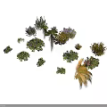 Various Green And Colorful Garden Plants With Diverse Leaf Shapes And Flowers