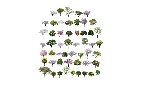 Modern Tree Arbor Landscape Tree Street Tree Ornamental Tree Big Tree Green Tree Color Leaf Tree Flower Tree 3d model