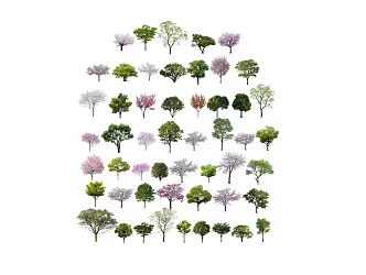 Modern Tree Arbor Landscape Tree Street Tree Ornamental Tree Big Tree Green Tree Color Leaf Tree Flower Tree 3d model