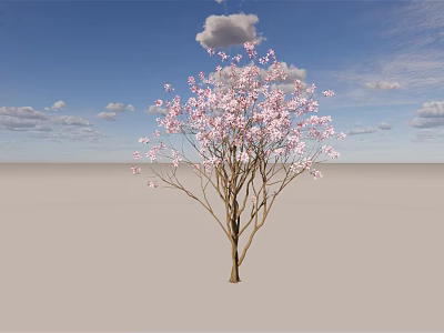 Blooming Tree with Pink Flowers Under Blue Sky and White Clouds 3d model