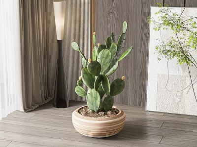 Potted Cactus Plant In Round Wooden Pot With Indoor Wooden Wall And Floor Lamp 3d model