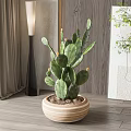Potted Cactus Plant In Round Wooden Pot With Indoor Wooden Wall And Floor Lamp