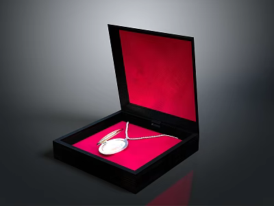 Open Black Jewelry Box With Red Velvet Interior Holding Silver Necklace And Pendant 3d model