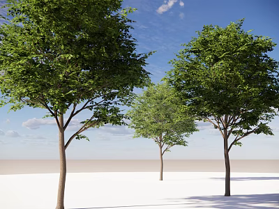 Lush Green Arbor Trees With Blue Sky And White Clouds On White Ground 3d model