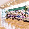 Garden Decor Display In Modern Flower Shop With Green Awning Colored Flowers Shelves Bright Lighting