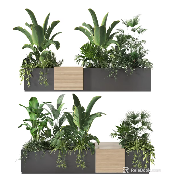 Modern Potted Bonsai Plants With Wooden Black Containers And Lush Green Tropical Foliage 3d model 