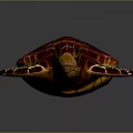 Turtle Cartoon Turtle Snapping Turtle Chickbill Turtle Reptile Cold Blooded Animal Reptile Class 3d model
