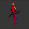Vibrant Red Yellow Blue Parrot Perched On Wooden Branch Against Gray Background