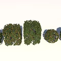 Green Leafy Shrubs Arranged On Sandy Desert Ground Under Blue Sky 3d model