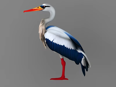 Bird Aquatic Bird Crane 3d model