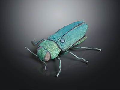 Teal Metallic Beetle With Shiny Exoskeleton And Long Legs On Dark Background 3d model