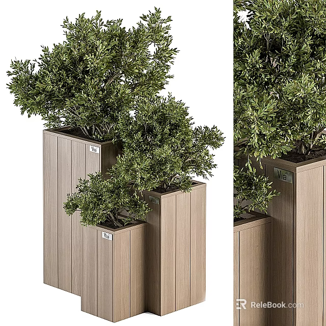 Bonsai Potted Plants In Light Brown Wooden Planters With Vertical Texture And Leafy Green Shrubs 3d model 