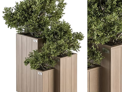 Bonsai Potted Plants In Light Brown Wooden Planters With Vertical Texture And Leafy Green Shrubs 3d model