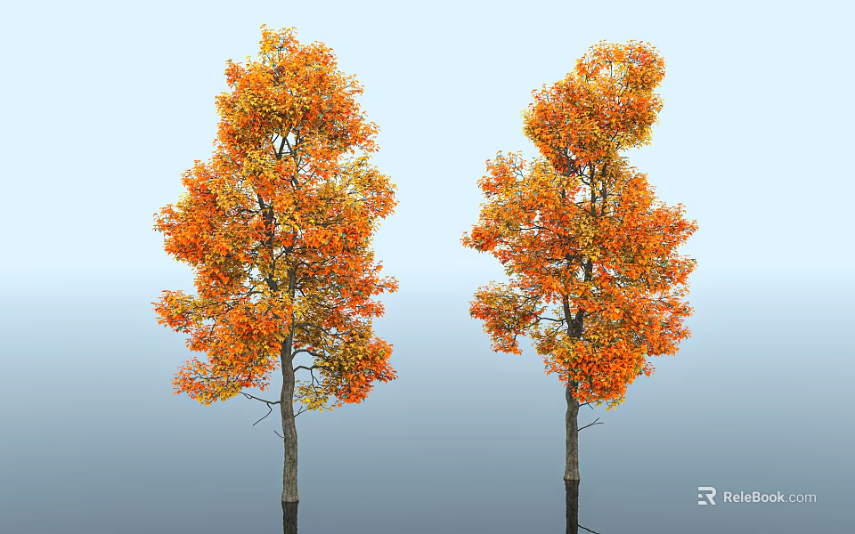 Two Arbor Trees With Orange Yellow Leaves Against Light Blue Sky 3d model 